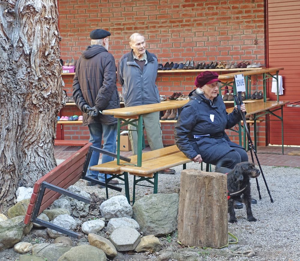 Bild_21.jpg